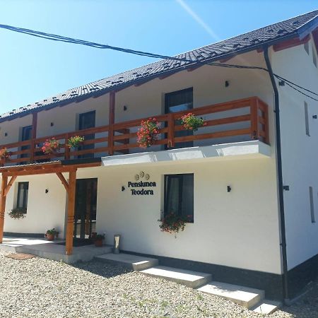 Pensiunea Teodora Moisei Exterior foto