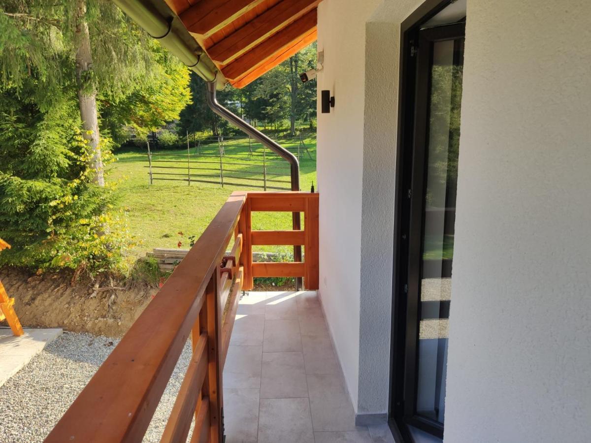 Pensiunea Teodora Moisei Exterior foto