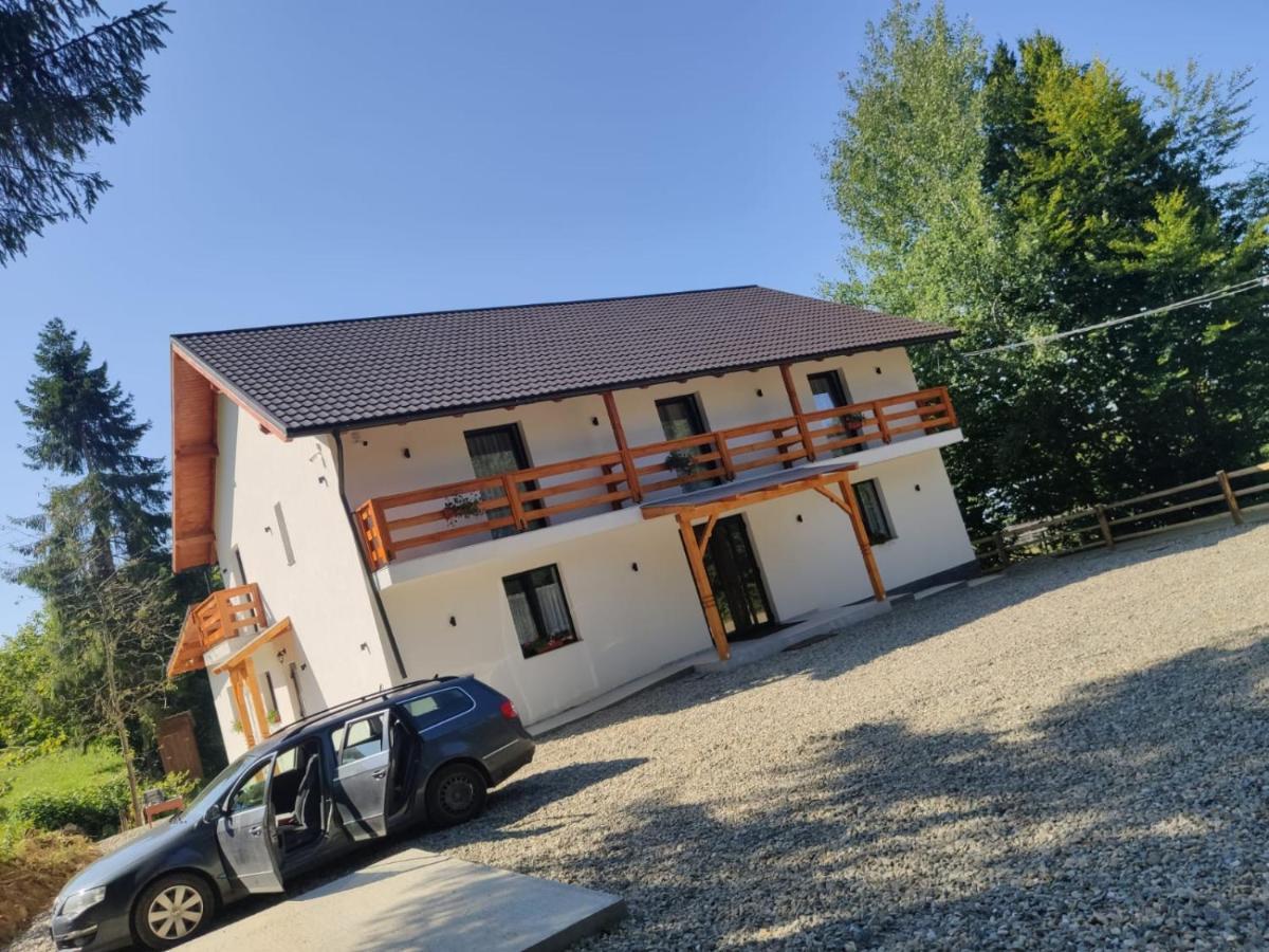 Pensiunea Teodora Moisei Exterior foto