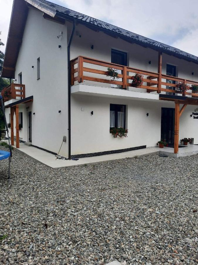 Pensiunea Teodora Moisei Exterior foto
